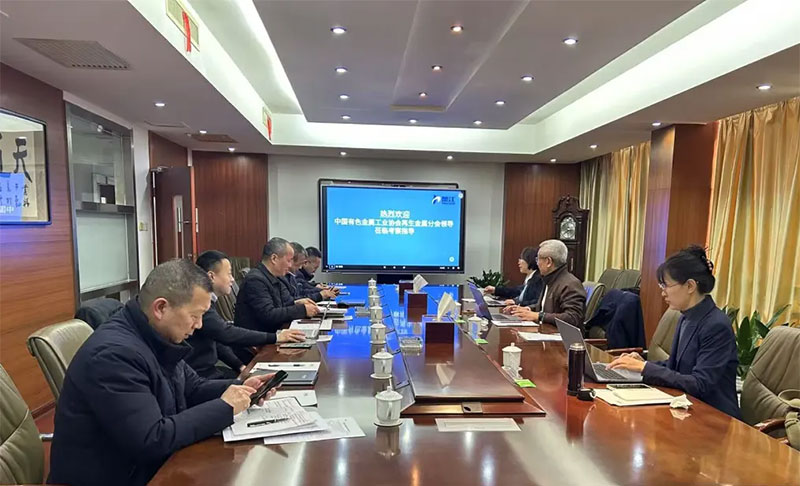 中国有色金属工业协会再生金属分会副会长刘巍一行莅临楚江新材调研