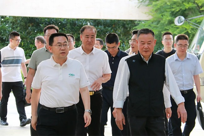 广东省清远市委副书记、市长陈金銮一行莅临楚江新材考察交流