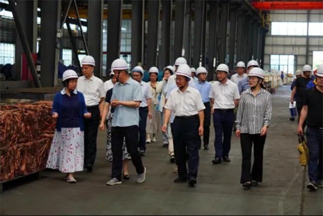 全国人大环境与资源保护委员会副主任委员吕忠梅一行莅临楚江新材调研座谈
