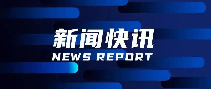 徐志市长莅临楚江新材调研指导