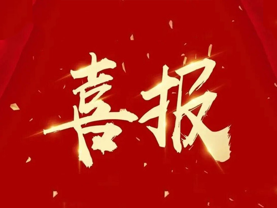 楚江新材上榜2025安徽省民营企业百强！